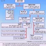 علم اللغويات 