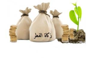 زكاة الفطر ز
