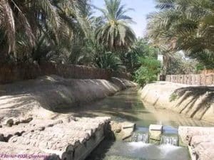 الجنوب التونسي 